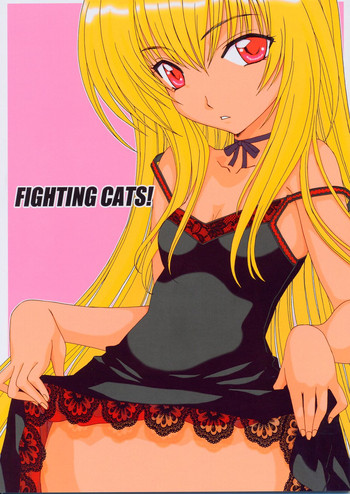 Download Fighting Cats!