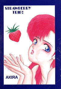 Download Strawberry Trip