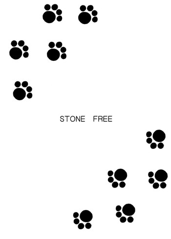 Download STONE FREE