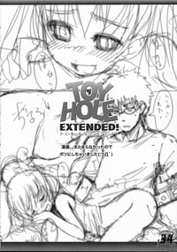 Download TOY HOLE EXTENDED!