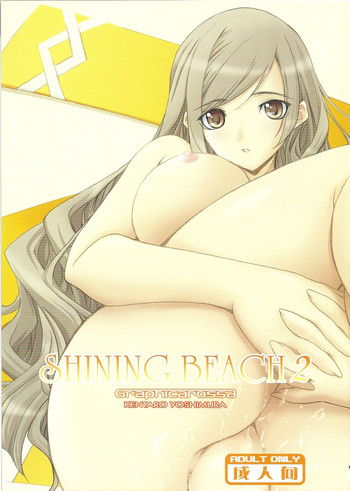 Download Shining Beach 2