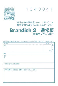 Download Brandish 2