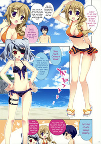 Download Natsushiki IS Beach