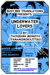 Download Underwater Lovers