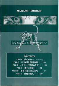 Download Midnight Panther Volume 2 JPN