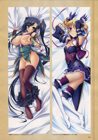 Download Shin-Koihime Musou Otome Ryouran Sangokushi Engi Perfect Visual Book