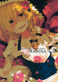 Download MARISA 1x3?