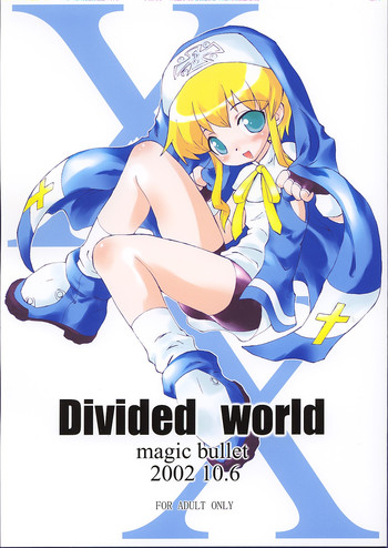 Download Divided world