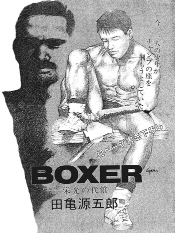 Download Boxer