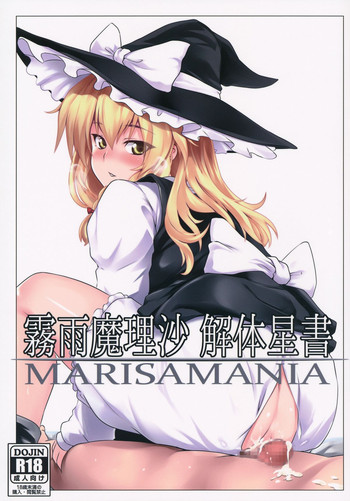 Download Kirisame Marisa Kaitai Seisho