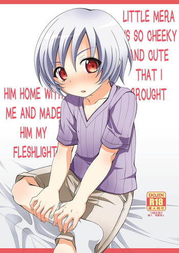 Download Chicchai Mera ga Namaiki Kawaii node Jitaku ni Mochi kaette Onaho ni Shitemita | Little Mera is so cheeky and cute that I brought him with me home and made him my fleshlight