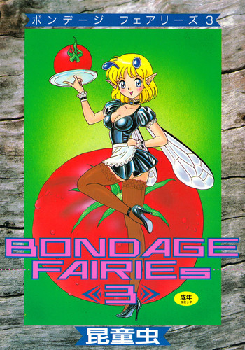 Download Bondage Fairies 3