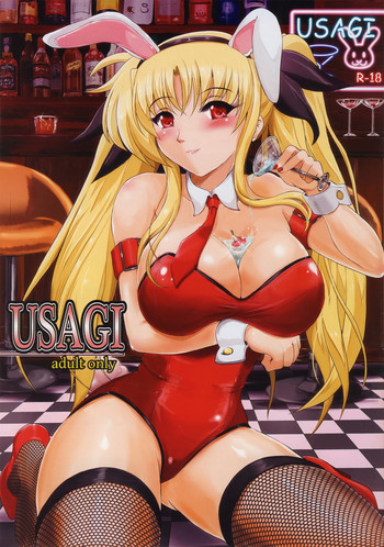 Download USAGI