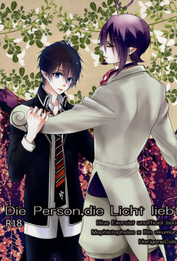 Download Die Person, die Licht liebt