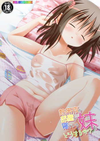 Download Nettaiya no Heya de Neteiru Imouto wo Dousuruka?