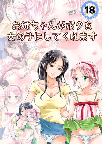 Download Oneechan ga Boku wo Onnanoko ni Shite kure masu