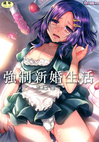 Download Kyousei Shinkon Seikatsu 3me