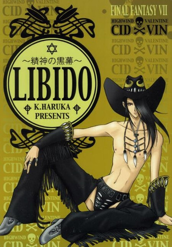 Download LIBIDO