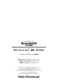 Download Brandish 5