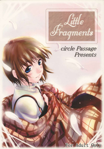 Download Little Fragments