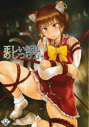 Download Tadashii Youko no Shitsukekata+