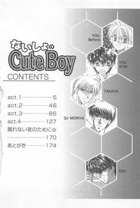 Download Naisho no Cute Boy