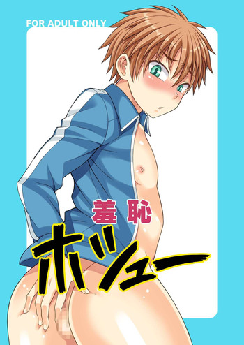 Download Shuuchi Hoshuu