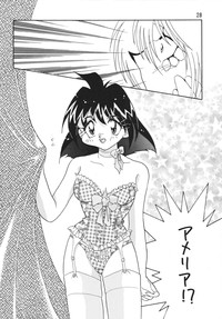 Download SLAYERS ADULT 4