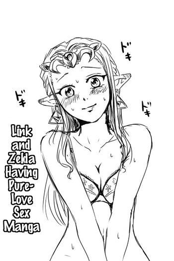 Download Link to Zelda ga Jun Ai Ecchi suru Manga