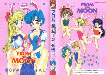 Download From the Moon Gaiden